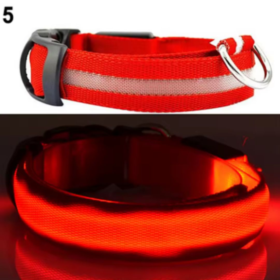 🐶 Collar LED Ajustable – SafeGlow Pet™ 💡🐕