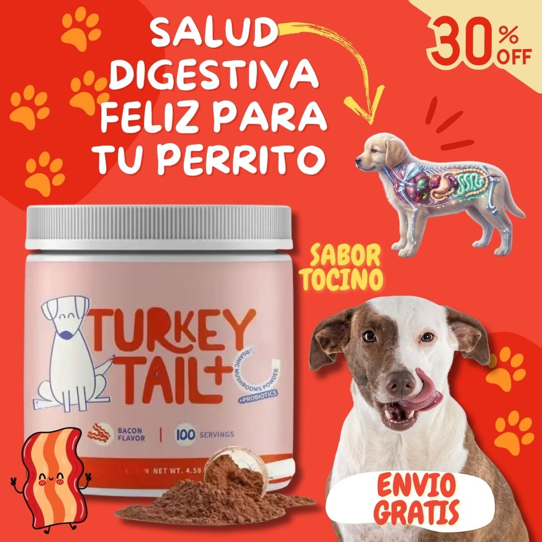 🥓 🐶Probiótico Mascota Turkey Tail – Bienestar digestivo y defensas fuertes