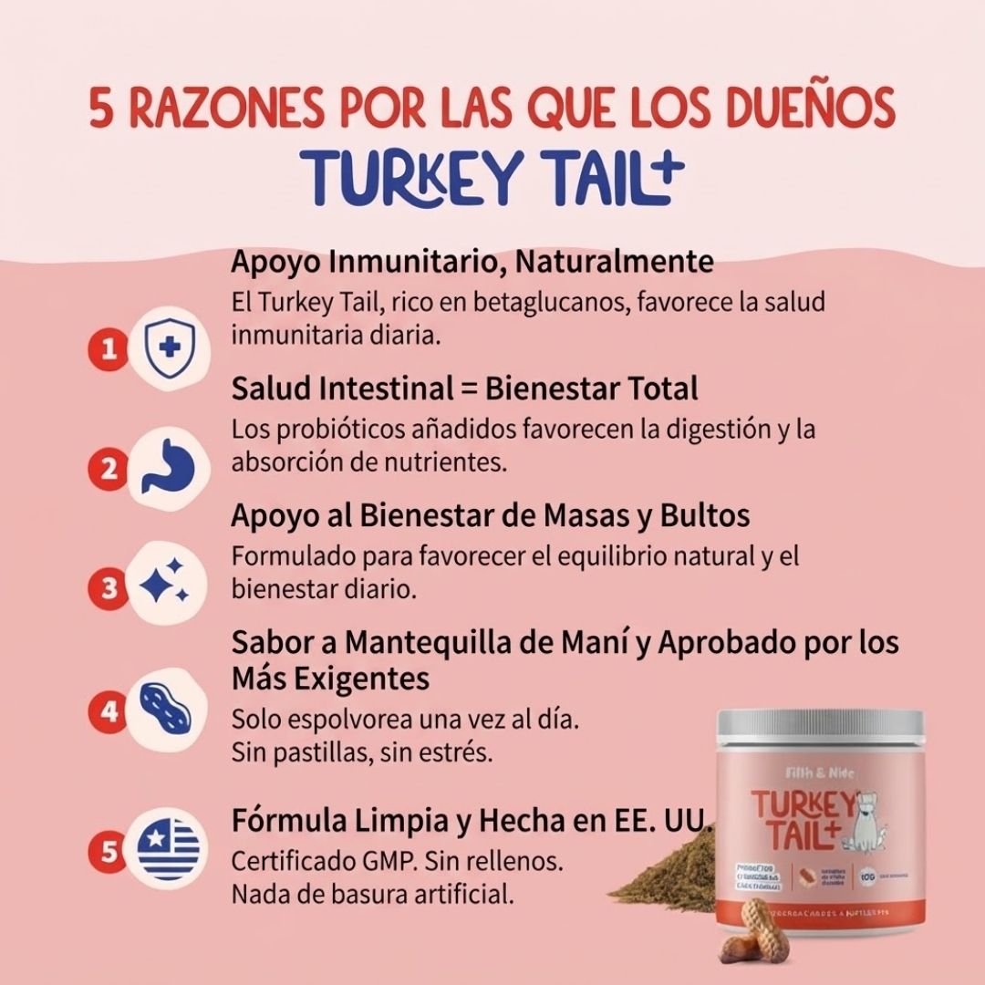 🥓 🐶Probiótico Mascota Turkey Tail – Bienestar digestivo y defensas fuertes