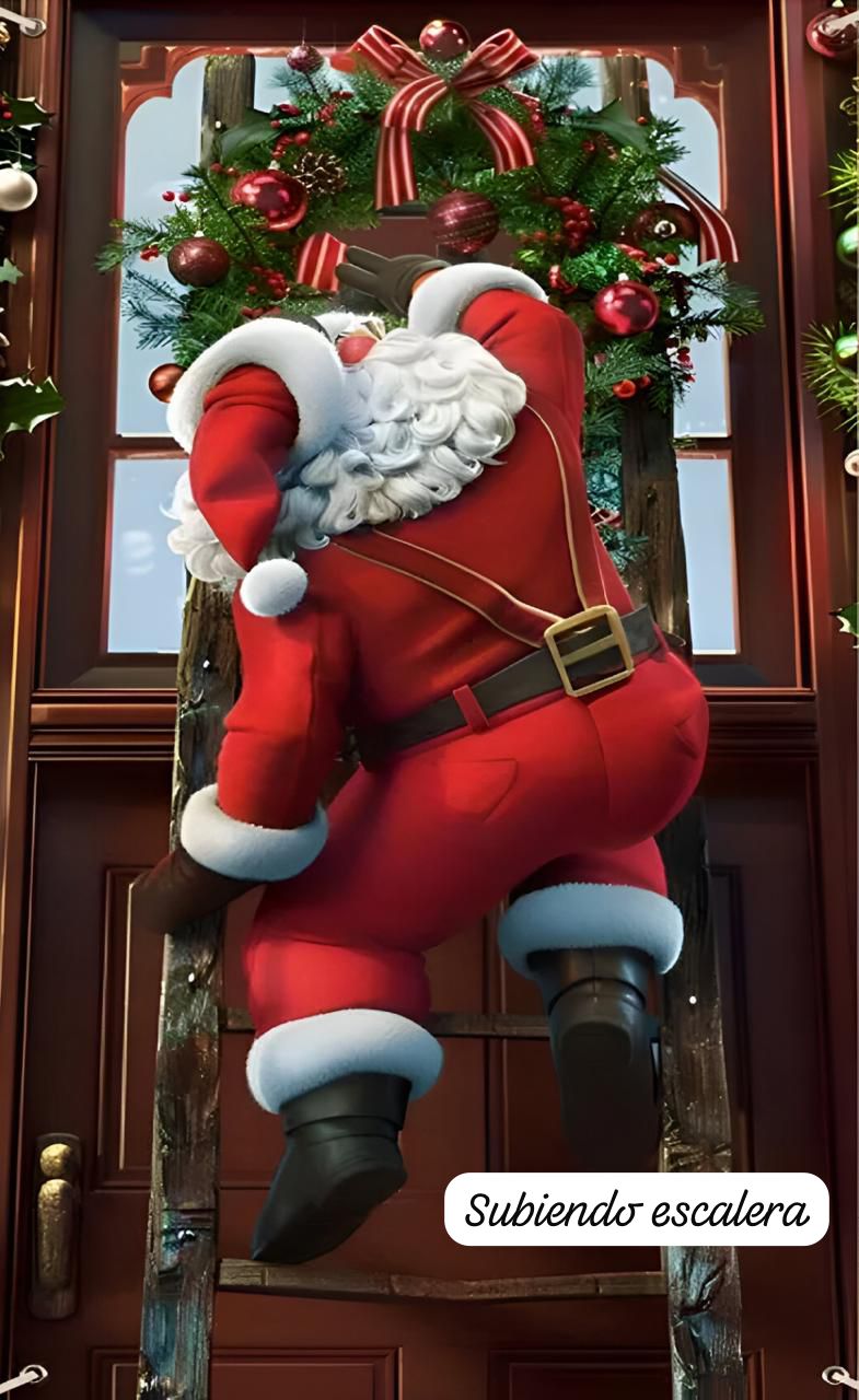 🎅 Funda Navideña Premium™ – Puerta Festiva Instantánea 🎄
