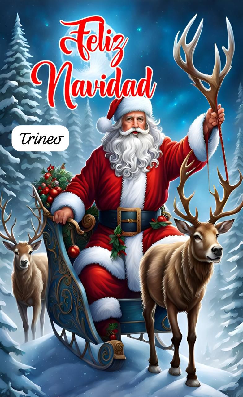 🎅 Funda Navideña Premium™ – Puerta Festiva Instantánea 🎄