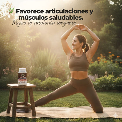 CIRCLEN™ – Suplemento Natural 30 cápsulas – Bienestar, Energía y Circulación 💚