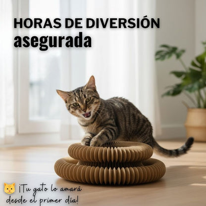 Espiral Interactivo de Cartón™ – Diversión Ecológica para Gatos 🐾