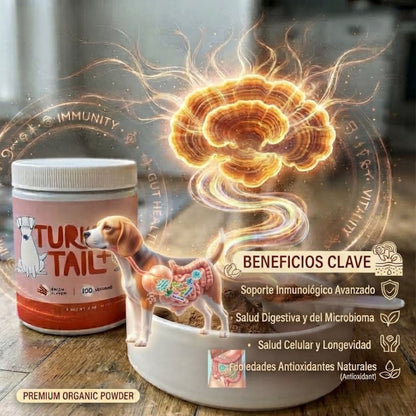 🥓 🐶Probiótico Mascota Turkey Tail – Bienestar digestivo y defensas fuertes