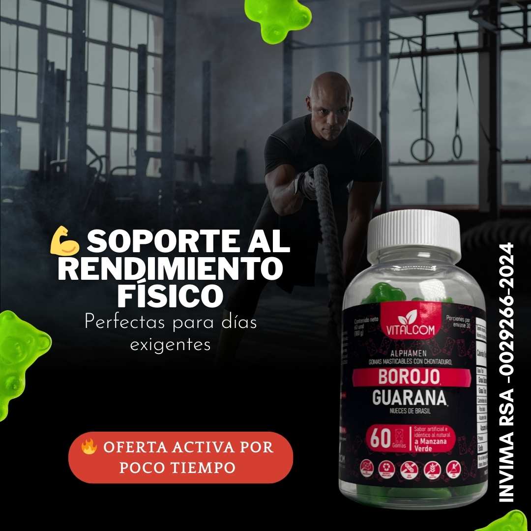 Encabezado