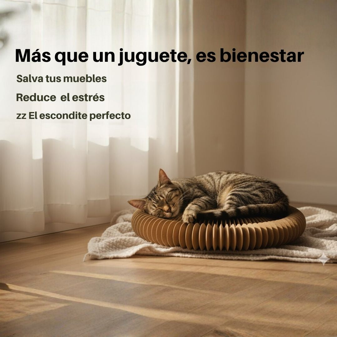 Espiral Interactivo de Cartón™ – Diversión Ecológica para Gatos 🐾