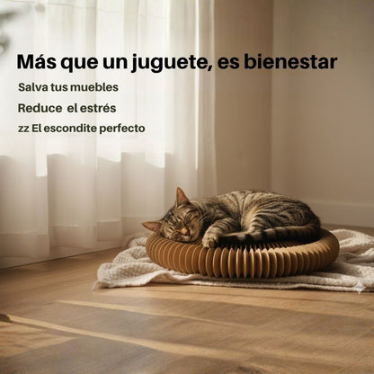 Espiral Interactivo de Cartón™ – Diversión Ecológica para Gatos 🐾