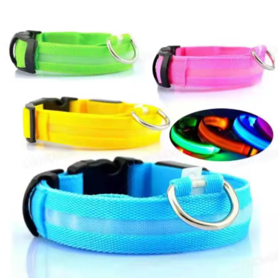 🐶 Collar LED Ajustable – SafeGlow Pet™ 💡🐕