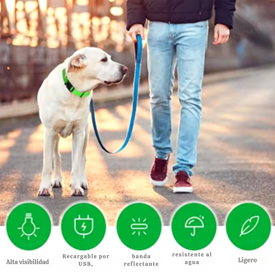 🐶 Collar LED Ajustable – SafeGlow Pet™ 💡🐕