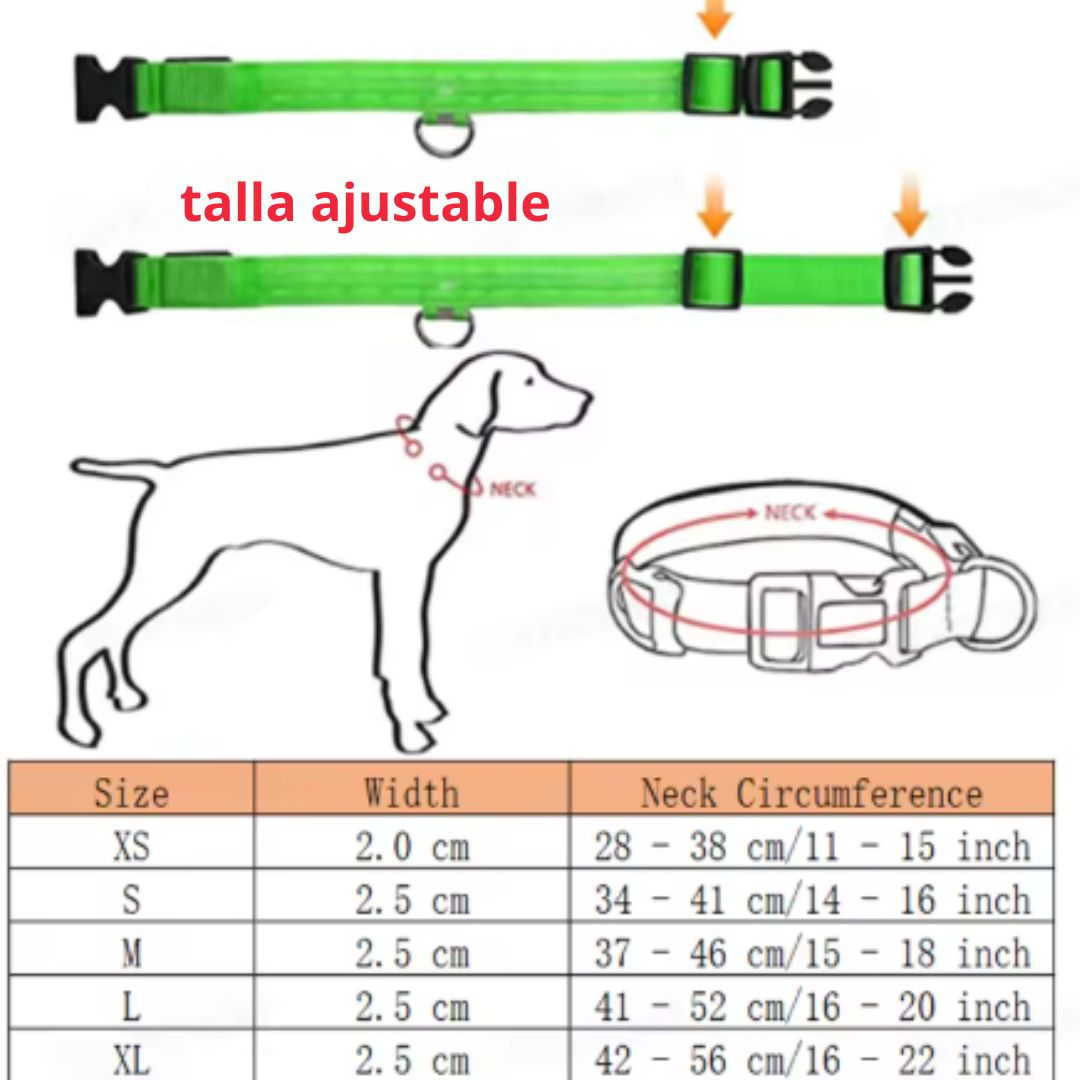 🐶 Collar LED Ajustable – SafeGlow Pet™ 💡🐕