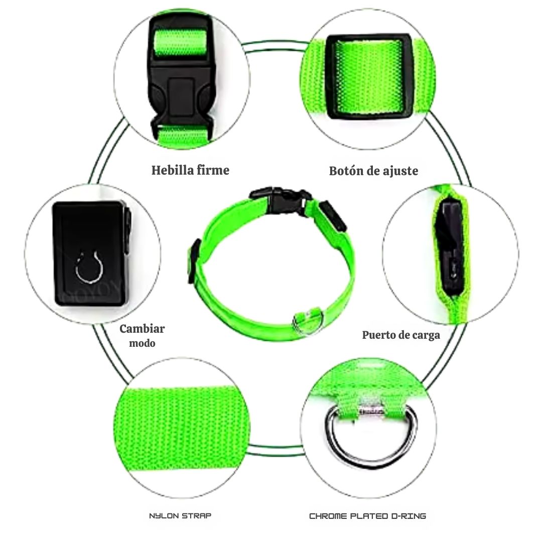 🐶 Collar LED Ajustable – SafeGlow Pet™ 💡🐕