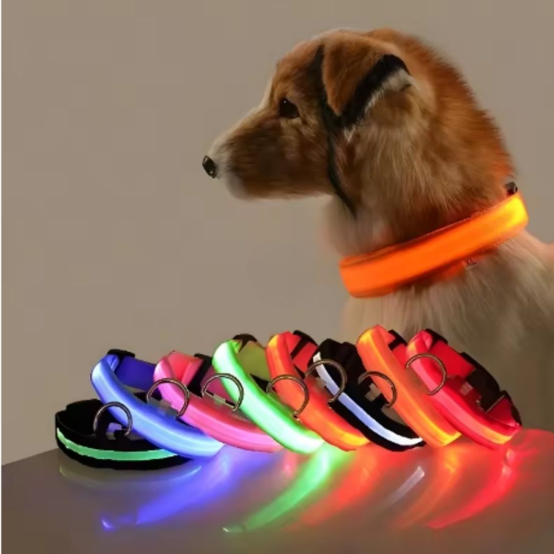 🐶 Collar LED Ajustable – SafeGlow Pet™ 💡🐕