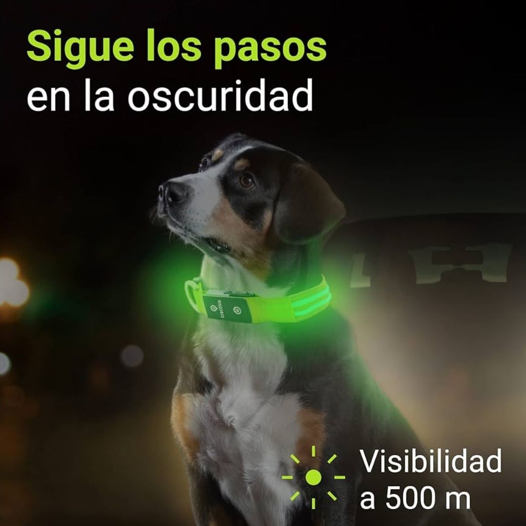 🐶 Collar LED Ajustable – SafeGlow Pet™ 💡🐕