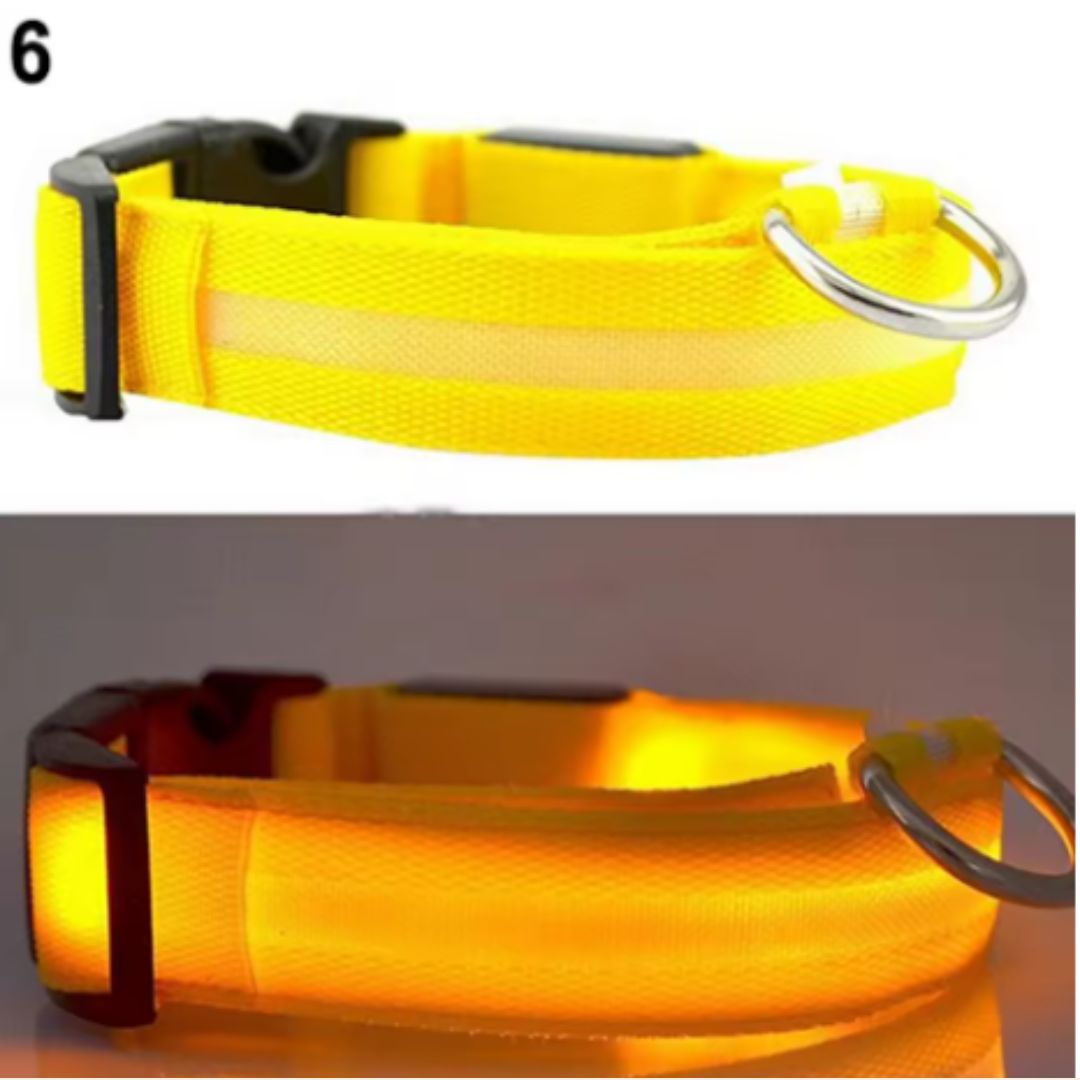 🐶 Collar LED Ajustable – SafeGlow Pet™ 💡🐕