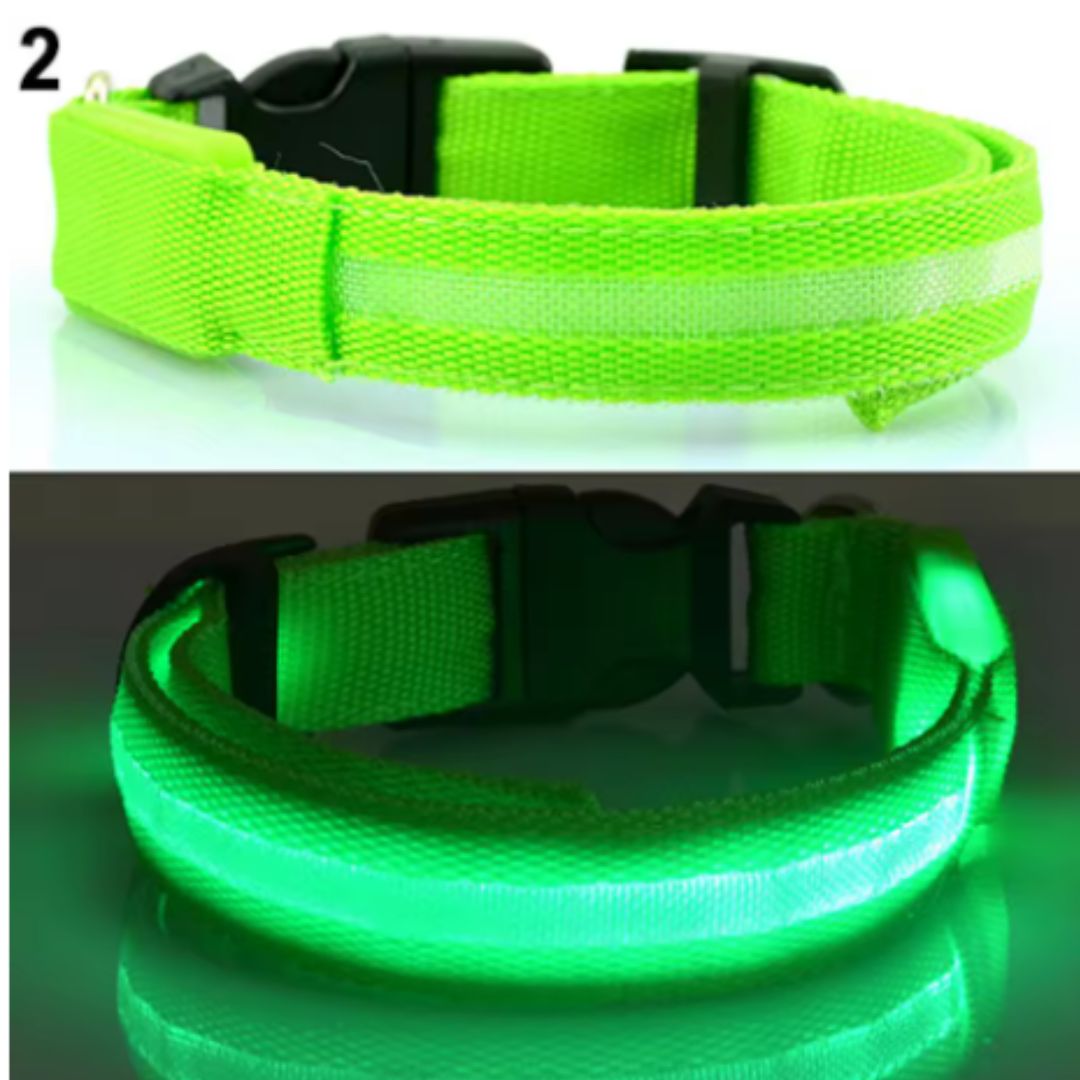 🐶 Collar LED Ajustable – SafeGlow Pet™ 💡🐕