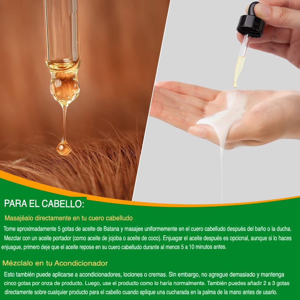 Encabezado