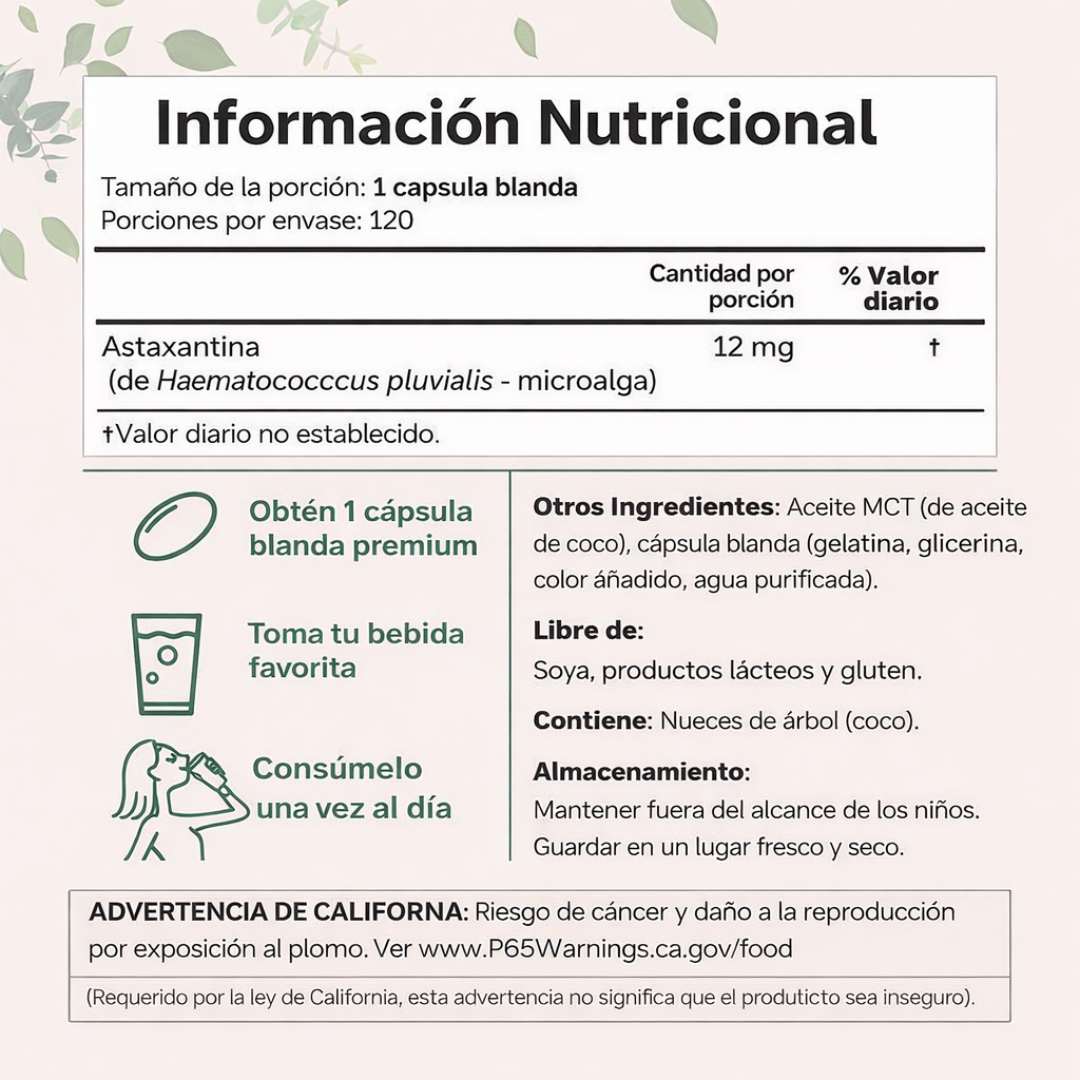 Encabezado