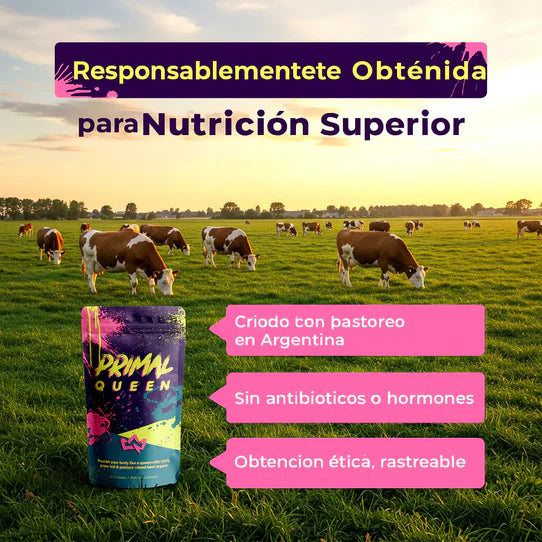 Primal Queen™ – 💃 Equilibrio Hormonal y Claridad Mental