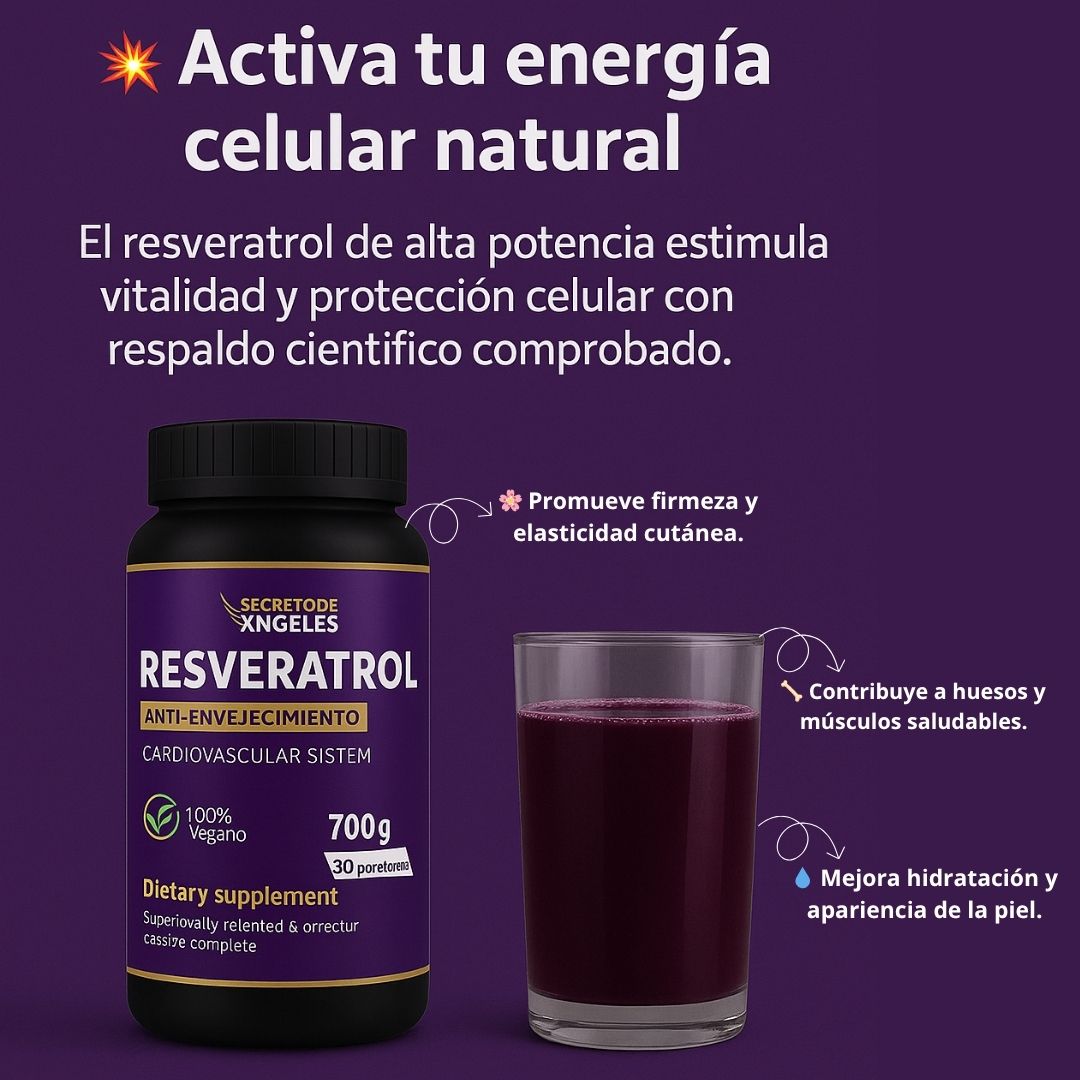 Encabezado