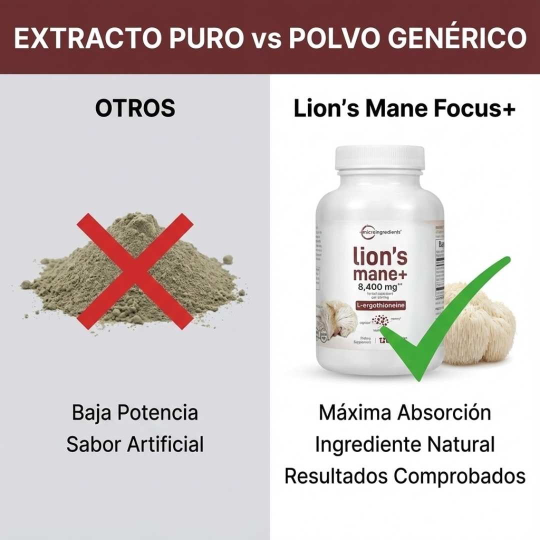 Lion’s Mane Focus+ 1500mg – Enfoque Mental al Instante 🧠⚡