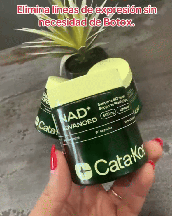 Encabezado