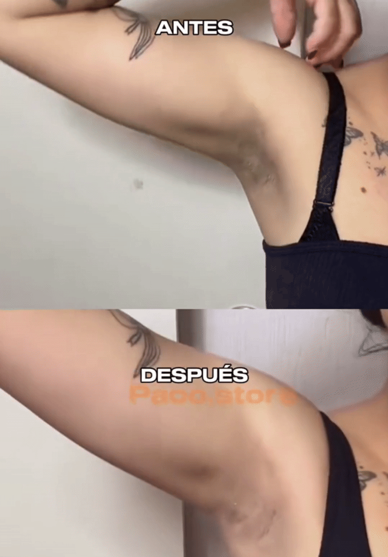 Encabezado