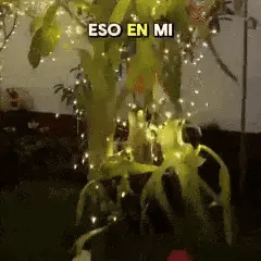 Encabezado