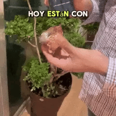 Encabezado