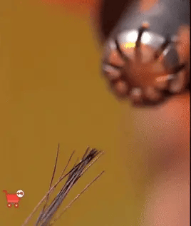 Encabezado